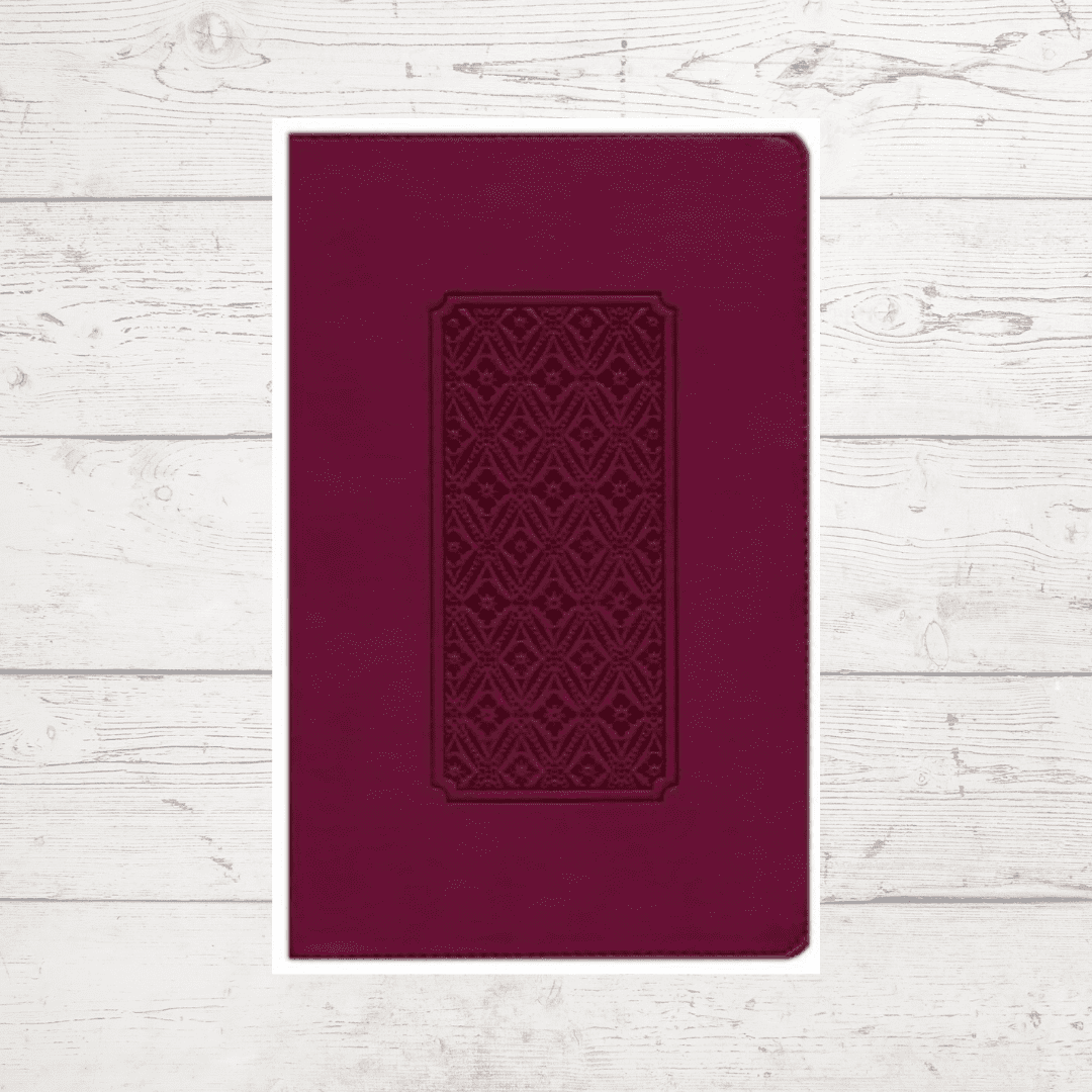 Giant print bible (2)
