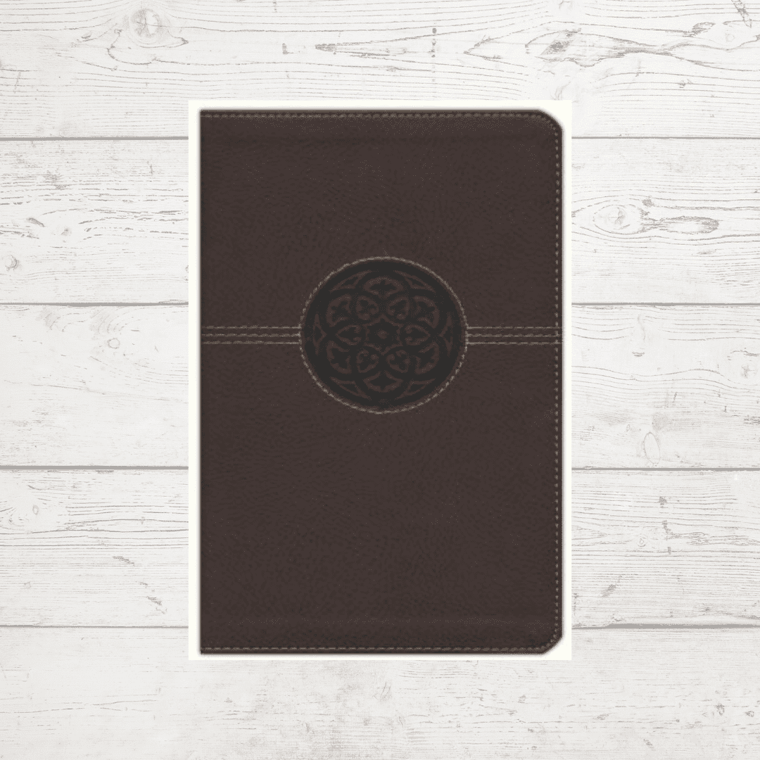 Giant print bible (3)