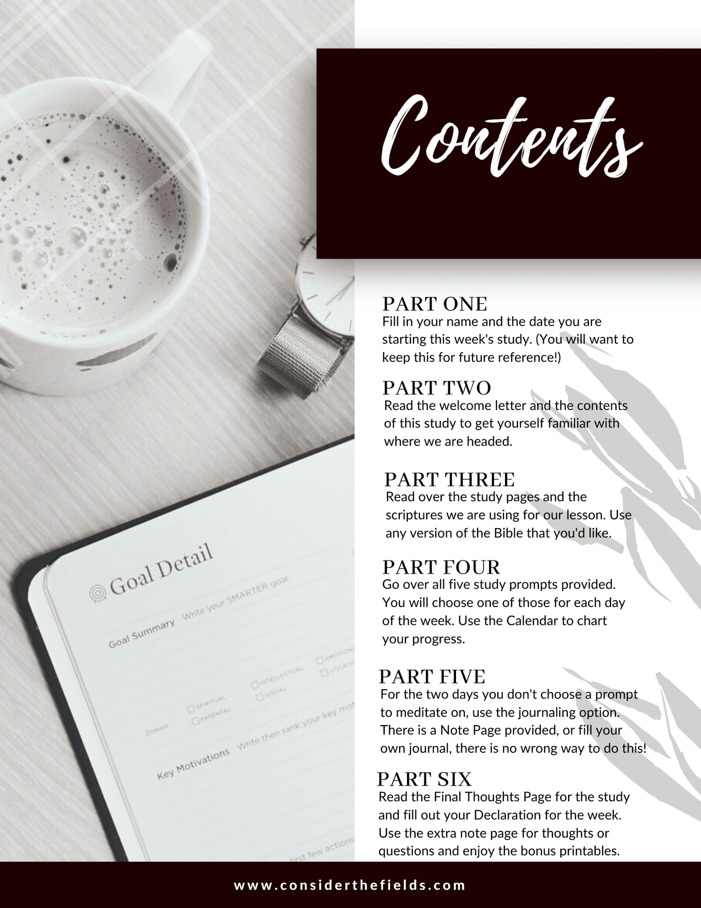How To Fight Overwhelm Bible Study