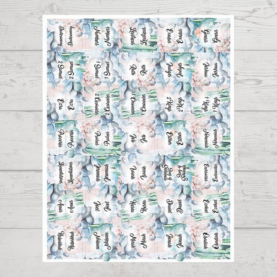 cacti bible tabs (1)