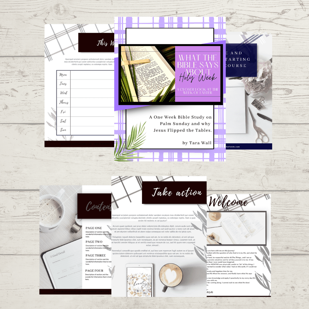 holy week study content
