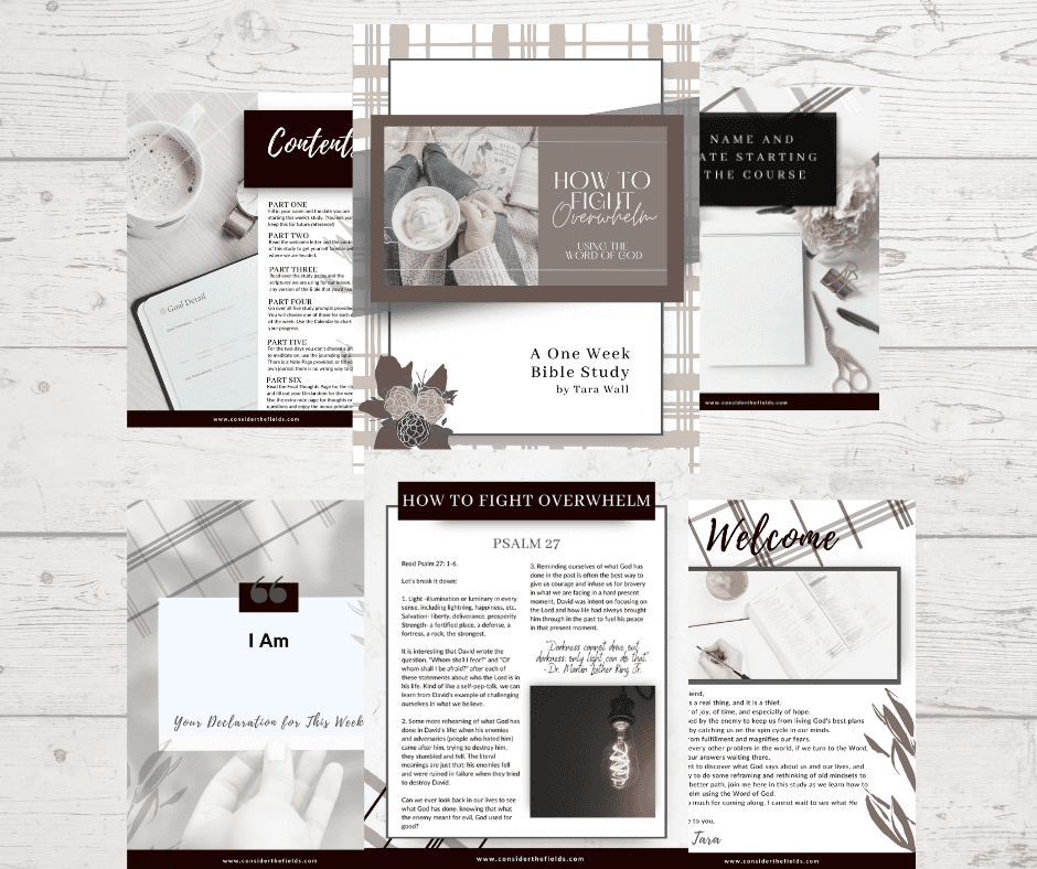 overwhelm study guide