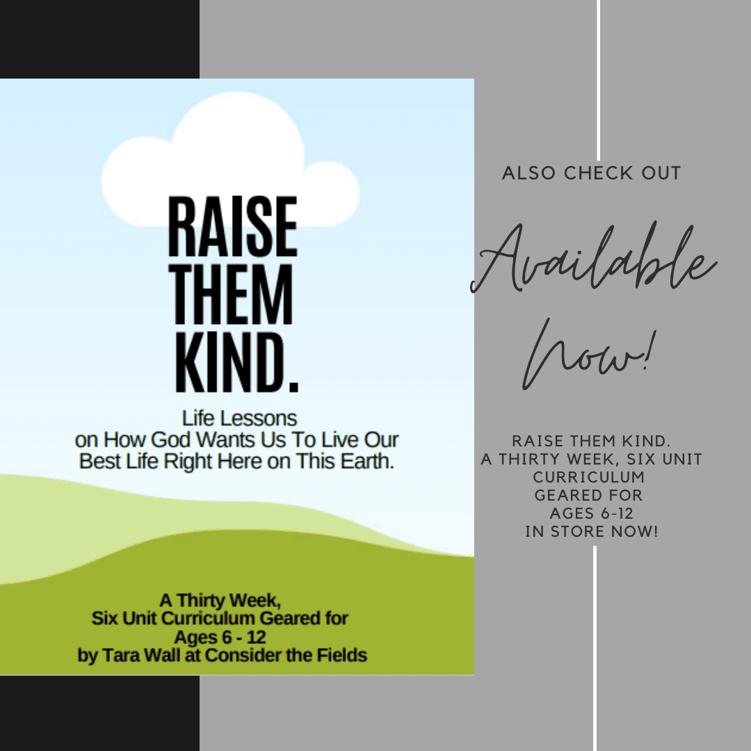raise them kind store mock up (3)