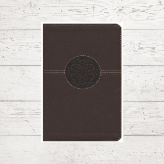 Giant print bible (3)