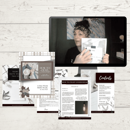 Overwhelm Bible Study (Instagram Post)