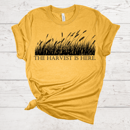 The Harvest is Here Gold Tee