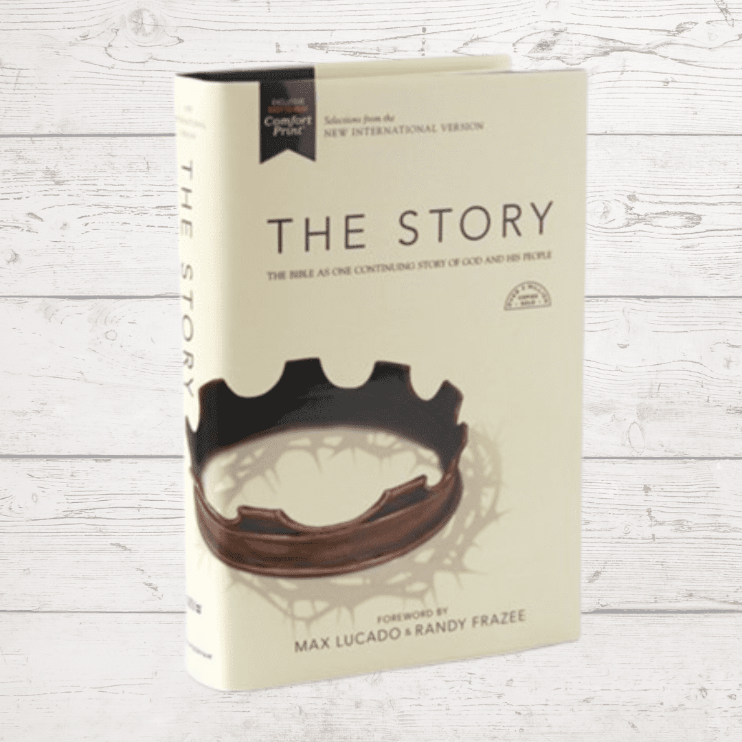 story niv bible