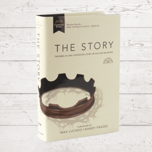 story niv bible